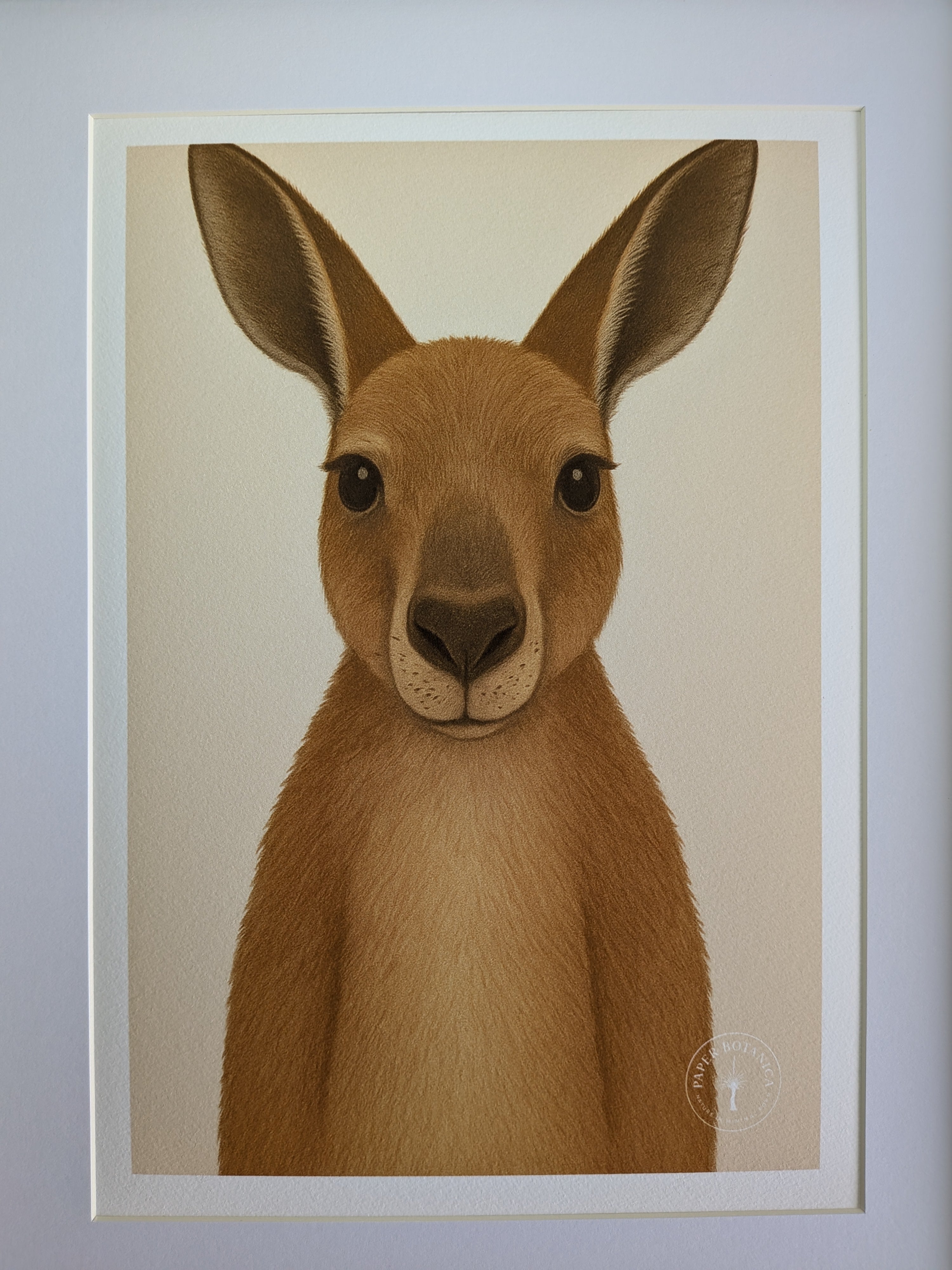 Australian Wildlife Trio - Kangaroo, Koala & Wombat (Set of 3 Prints)