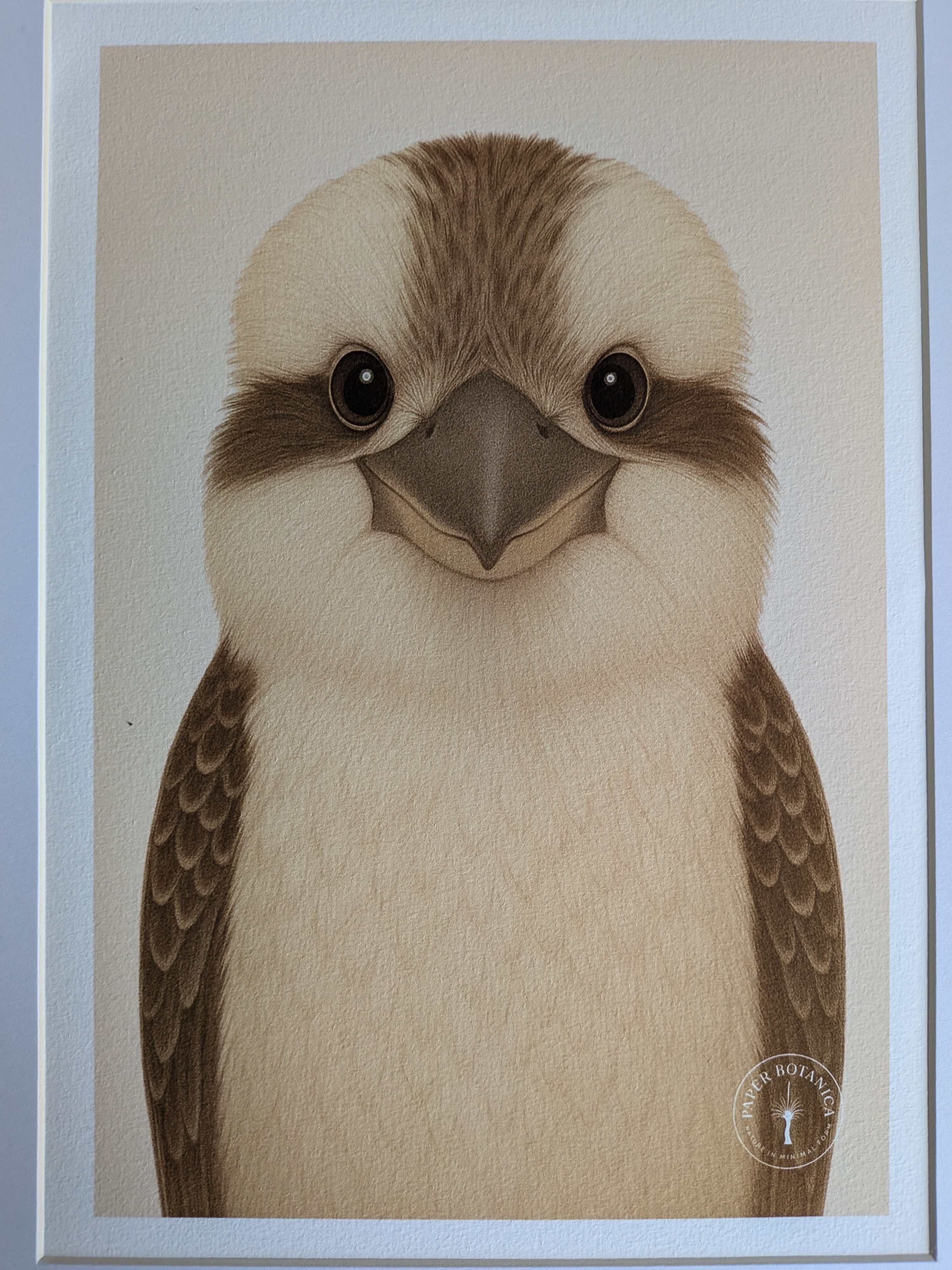 Australian Wildlife Trio - Kookaburra, Emu & Platypus (Set of 3 Prints)