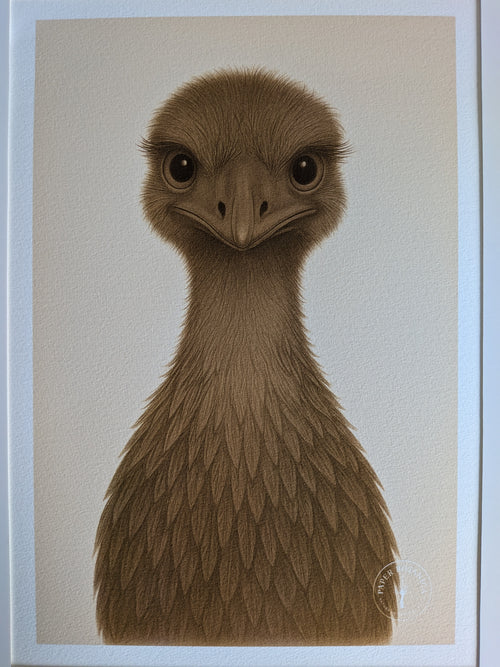 Emu – Hand Drawn Wildlife Print